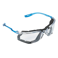 Foam Lined Safety Glasses