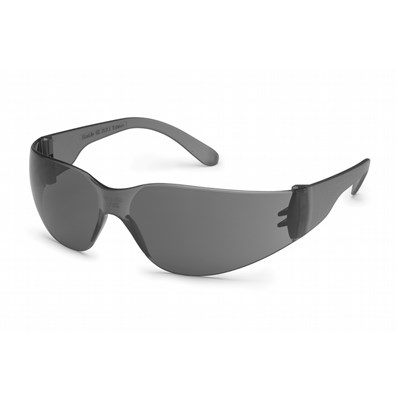 GATEWAY SAFETY StarLite® Safety Glasses, Anti-Fog, Gray, 10/box GA-4678