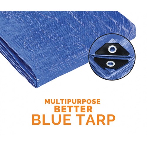 ALL IN SAFETY 10 Ft X 10 Ft Blue Poly Tarp, 5 mil P1010