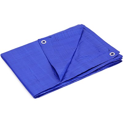ALL IN SAFETY 8 ft x 10 ft Blue Poly Trap P0810